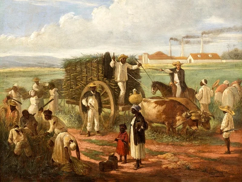 1828-Víctor Patricio de Landaluze - Taglio della canna da zucchero